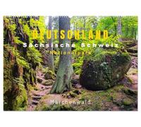 DEUTSCHLAND, Sächsische Schweiz Nationalpark, Märchenwald (Wandkalender 2026 DIN A2 quer), CALVENDO Monatskalender: Moos, Felsen, Magie - Wald wie im Traum