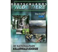 Gli animali selvatici della Germania – Nel Parco Nazionale Kellerwald-Edersee