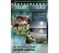 Deutschlands wilde Tiere - Im Nationalpark Unteres Odertal