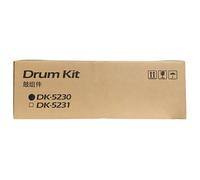 Developer Originale Kyocera DV-5230(M) 302R793051 (Magenta 100000 pagine)