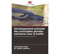 Développement prénatal des principales glandes salivaires chez le buffle: Développement histologique prénatal