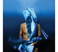 Devendra Banhart Flying Wig (CD) Album