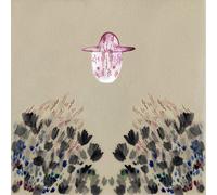 Devendra Banhart Smokey Rolls Down Thunder Canyon (Vinyl LP) 12" Album