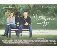 Devi Amare I Cani (Doppia Faccia) Poster Originale Del Film