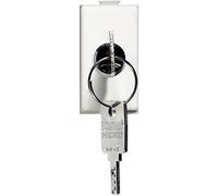 Bticino Matix deviatore a chiave 2P 10A AM5007D