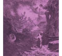 Devil Master Ecstasies of Never Ending Night (Vinyl LP)