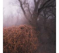 `DEVIL`S TRADE,THE` NINCS SZENNYEZETLEN SZEP VINYL LP NUOVO