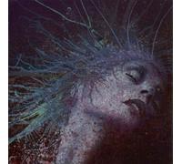 Devil Sold His Soul - A Fragile Hope