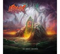 Devil's Reef The Droste Observer (Vinyl LP)