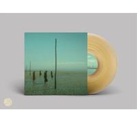 Devil's Witches In All Her Forms (Vinyl LP) 12" Album Coloured Vinyl