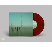 Devil's Witches In All Her Forms (Vinyl LP) 12" Album Coloured Vinyl