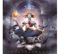 Townsend Devin Project - Transcendence