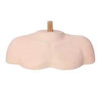 DEVNWIGMO Manichino Spalla Modello Spalla Cosmetologia Busto Professionale Supporto Testa Manichino Stand PVC Morbido Adatto per Formazione Parrucchieri Cosmeto, S
