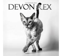 Devon Rex cat calendar 2025: A Year of Playful Devon Rex Cats Captured in Stunning Photography