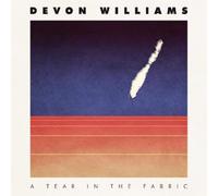 Devon Williams A Tear in the Fabric (Vinyl LP) 12" Album