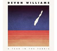 Devon Williams - Tear in The Fabric