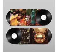 Beach House Devotion (Vinyl LP) 12" Album