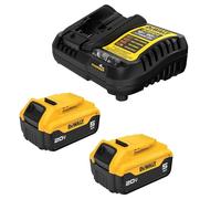 DEWALT 20 V MAX XR 5.0 Ah Batteria 2 Unità con Caricatore Starter Kit (DCB205-2C)