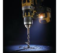 DeWalt Accessori DT70727-QZ DT70727 Set di punte da 14 pezzi nero e oro