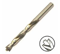 Dewalt DT5523 Estremo Punta Da Trapano HSS-G 9.5Mm Per Metallo, Legno E Plastica