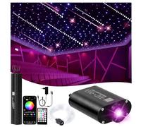 DEWEL Luce in Fibra Ottica, 16W RGBW 300PCS*0.75mm*2m/Meteora 3W Bianco 20pcs*1.0mm*2m, APP Bluetooth/Telecomando a 28 Tasti Starry Sky Plafoniere Kit per Casa/Auto/Soffitto Room Decor