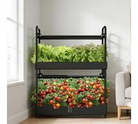 Dexinhdh Kit per Coltivazione Idroponica da Interno A 2 Livelli - Torre Idroponica con Lampada di Coltivazione E Ruote, Ampio Serbatoio dell'Acqua E Tubo Luminoso Regolabile