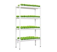 Dexinhdh Kit per Sistema di Coltivazione Idroponica - Torre Idroponica Verticale da Interno con Tubi in PVC E Cestelli di Coltivazione in PP - Piedini Regolabili in Altezza per Casa