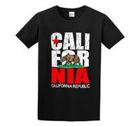 DEXINJIULOU California Republic Vintage State Flag Mens T-Shirt Unisex Black Top Tee L
