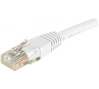 DEXLAN - Cavo Patch Cat6, RJ45, UTP, Lunghezza 1,5 m, Colore: Bianco