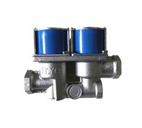 DEYIN Elettrovalvola universale for parti di riparazione del forno a gas Elettrovalvola doppia 24 V for parti di riparazione del forno a gas