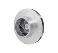 DEYIN Girante della pompa dell'acqua for accessori for pompe industriali sommergibili Kit albero rotore dell'acqua for pompe ad ingranaggi for apparecchi elettrici 1 pz(QDX25-20-2.2)