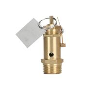 DEYIN Valvola di sicurezza valvola di sicurezza del compressore A21W-16T Valvola di sicurezza for caldaia elettrica/a carbone generatore di vapore 1/2(0.6mpa (6 kg))