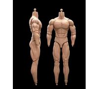 DEZARO Body da 1/6 Scale Male Soldier Flessibile Strong Muscular High Action Figure Body Collection (23-BD003)