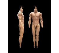 DEZARO Body da 1/6 Scale Male Soldier Flessibile Strong Muscular High Action Figure Body Collection (23-BD001)