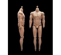 DEZARO Body da 1/6 Scale Male Soldier Flessibile Strong Muscular High Action Figure Body Collection (23-BD002)