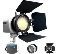 DF-10 Bowens Mount Lente Fresnel con 4-Leaf Alette Paraluce