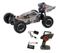 DF Models Z06 Light Buggy RTR (lunghezza x larghezza x altezza): 31 x 20,5 x 12 cm, ca. 1000 g, scala 1:14, fino a 40 km/h, a partire dai 14 anni, con batteria e cavo di ricarica USB, auto