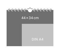 DFB Frauen Posterkalender 2026: Großer Fußballkalender mit den Stars der Damen-Fußball-Nationalmannschaft. Der Blickfang für Kicker-Fans im Format 44 x 34 cm. Monatskalender