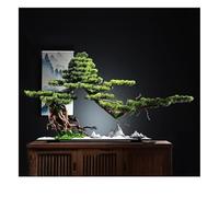 DFGHNBVC Simulazione di Albero Artificiale di Ornamenti di Pino Bonsai in Stile Cinese Ingresso Soggiorno Ufficio Hotel Club Decorazione Artigianato Albero Finto