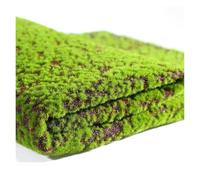 DFGRGRV Erba Artificiale Muschio Artificiale Tappeto Erboso Micro Paesaggio Nylon Finto Tappeto Parete Piante Verdi Matrimonio(25x25cm 2pcs)