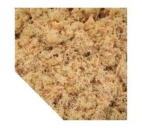 DFGRGRV Erba Artificiale Piante Verdi Artificiali Muschio Mini Paesaggio Artigianato Fai da Te Vita Finta for la Decorazione della casa da Giardino 500/1000/100g(Yellow,500g)