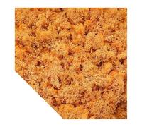 DFGRGRV Erba Artificiale Piante Verdi Artificiali Muschio Mini Paesaggio Artigianato Fai da Te Vita Finta for la Decorazione della casa da Giardino 500/1000/100g(Orange,100g)