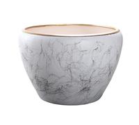 DFHS46JK Vasi per piante Vasi da fiori in ceramica adatti sia for uso interno che esterno, possono essere utilizzati for coltivare cactus, orchidee e aloe vera Vasi da fiori