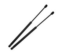 DFJOSF Pistoncini per Ford per Escape 2001-2007 2 Pezzi/Set Supporto A Molla per Finestrino Posteriore Portellone Posteriore Ammortizzatore A Gas Molle A Gas