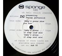 Dg Presents Haley Gee - Baby;S Gonna Show You How