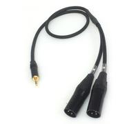 DG Systems - Cavo da Mini-Jack Stereo 3.5mm a 2 XLR maschi - Made in Italy