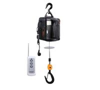 DGHBNP Paranco Elettrico Portatile con Piccola Gru per carichi Pesanti con Micro argano telecomandato per Il Sollevamento di Garage per officine domestiche(Black 100kg Load,220V)