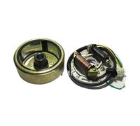 DGRRWDBN Gruppo rotore di statore Magneto Completo per Moto a Due Strati Compatibile con Parti del generatore AX100(Rotor And Coil)