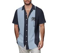 DGZTWLL Camicie da uomo a maniche corte estate casual moda San Valentino Pasqua festa di San Patrizio festival leggero taglio regolare camicia hawaiana divertente in lino da uomo, P, 3XL