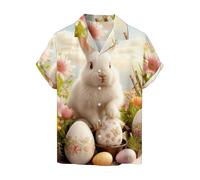 DGZTWLL Camicie da uomo hawaiane da spiaggia a maniche corte estive casual moda San Valentino Pasqua festa di San Patrizio festival leggero elegante pulsante divertente camicie da uomo, B, 5X-Large